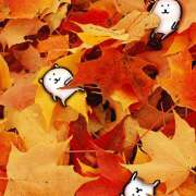 ヒメ日記 2025/10/16 07:54 投稿 横川 MadameRest(マダムレスト)