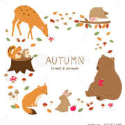 ヒメ日記 2025/10/19 15:01 投稿 横川 MadameRest(マダムレスト)