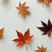 ヒメ日記 2025/10/20 09:23 投稿 横川 MadameRest(マダムレスト)