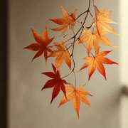 ヒメ日記 2025/10/22 13:00 投稿 横川 MadameRest(マダムレスト)