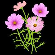 ヒメ日記 2025/10/23 22:43 投稿 横川 MadameRest(マダムレスト)