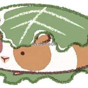 ヒメ日記 2025/10/25 05:48 投稿 横川 MadameRest(マダムレスト)