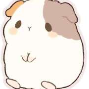 ヒメ日記 2025/10/25 14:39 投稿 横川 MadameRest(マダムレスト)