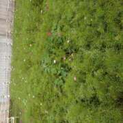 ヒメ日記 2025/10/28 00:19 投稿 横川 MadameRest(マダムレスト)