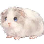 ヒメ日記 2025/11/08 08:36 投稿 横川 MadameRest(マダムレスト)