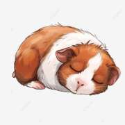 ヒメ日記 2025/11/09 01:37 投稿 横川 MadameRest(マダムレスト)