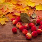 ヒメ日記 2025/11/09 08:47 投稿 横川 MadameRest(マダムレスト)