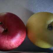 ヒメ日記 2025/11/13 08:13 投稿 横川 MadameRest(マダムレスト)