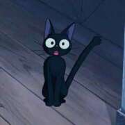 ヒメ日記 2025/11/26 00:42 投稿 横川 MadameRest(マダムレスト)