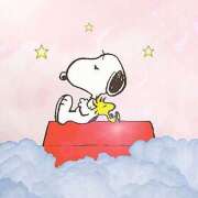 ヒメ日記 2025/11/27 10:06 投稿 横川 MadameRest(マダムレスト)