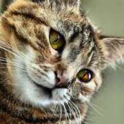 ヒメ日記 2025/12/13 08:06 投稿 横川 MadameRest(マダムレスト)