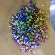 ヒメ日記 2025/12/19 17:14 投稿 横川 MadameRest(マダムレスト)