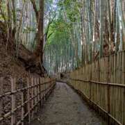 ヒメ日記 2025/12/23 08:27 投稿 横川 MadameRest(マダムレスト)