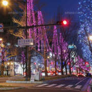 ヒメ日記 2025/12/26 19:49 投稿 横川 MadameRest(マダムレスト)