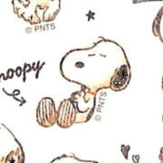 ヒメ日記 2026/02/12 20:24 投稿 横川 MadameRest(マダムレスト)