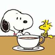 ヒメ日記 2026/03/06 08:41 投稿 横川 MadameRest(マダムレスト)