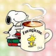 ヒメ日記 2026/03/09 08:04 投稿 横川 MadameRest(マダムレスト)