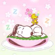 ヒメ日記 2026/03/26 01:20 投稿 横川 MadameRest(マダムレスト)