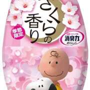 ヒメ日記 2026/03/27 07:58 投稿 横川 MadameRest(マダムレスト)