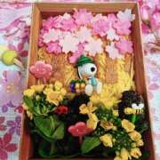 ヒメ日記 2026/03/28 13:07 投稿 横川 MadameRest(マダムレスト)