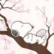 ヒメ日記 2026/03/29 03:53 投稿 横川 MadameRest(マダムレスト)