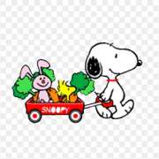 ヒメ日記 2026/04/09 08:23 投稿 横川 MadameRest(マダムレスト)