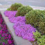 ヒメ日記 2026/04/13 17:39 投稿 横川 MadameRest(マダムレスト)