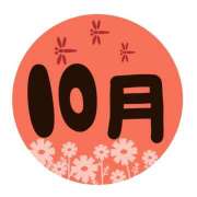 ヒメ日記 2026/10/01 07:36 投稿 横川 MadameRest(マダムレスト)