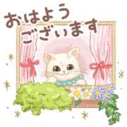 ヒメ日記 2026/10/14 07:40 投稿 横川 MadameRest(マダムレスト)