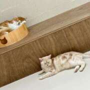 ヒメ日記 2026/02/05 14:13 投稿 めぐ 妻天 尼崎店