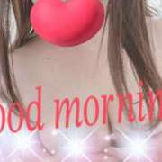 ヒメ日記 2026/02/25 11:32 投稿 めぐ 妻天 尼崎店