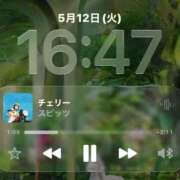 ヒメ日記 2026/05/12 16:59 投稿 めぐ 妻天 尼崎店