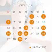 ヒメ日記 2025/04/11 16:22 投稿 ゆず ドマーニ