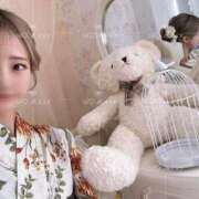 ヒメ日記 2025/06/10 08:45 投稿 ゆず ドマーニ