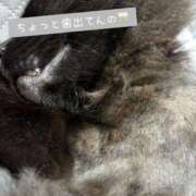 ヒメ日記 2025/08/02 11:45 投稿 ゆず ドマーニ