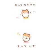 ヒメ日記 2025/08/13 11:45 投稿 ゆず ドマーニ