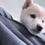 ヒメ日記 2025/09/22 10:51 投稿 ゆず ドマーニ