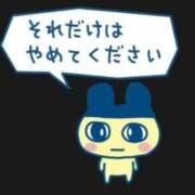 ヒメ日記 2025/10/20 10:00 投稿 ゆず ドマーニ