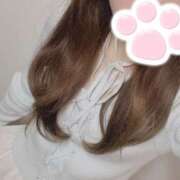 ヒメ日記 2025/05/30 02:21 投稿 とあ 貧乳パラダイス