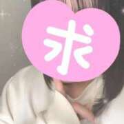 ヒメ日記 2025/03/15 04:55 投稿 うさぎ サンキュー沼津店（サンキューグループ）