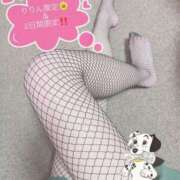 ヒメ日記 2025/02/23 08:47 投稿 りりん OKINI八王子