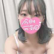 ヒメ日記 2025/02/24 11:37 投稿 りりん OKINI八王子