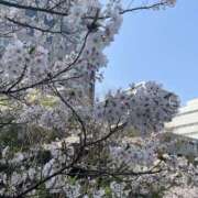 ヒメ日記 2025/04/07 23:06 投稿 しずか ヴィヴィッド・クルーマダム・セカンドヴァージン十三店