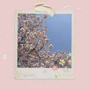 ヒメ日記 2025/03/31 07:49 投稿 みゆう 熟女の風俗最終章　越谷店