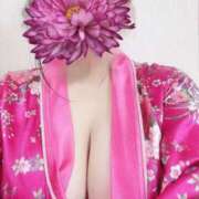 ヒメ日記 2025/03/28 15:16 投稿 あみか いざ候 本館