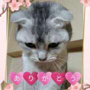 ヒメ日記 2025/04/02 21:10 投稿 ゆきな 熟女総本店