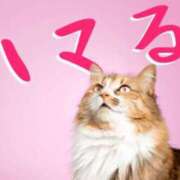 ヒメ日記 2025/05/28 15:15 投稿 ゆきな 熟女総本店