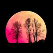 ヒメ日記 2025/06/11 10:55 投稿 ゆきな 熟女総本店