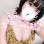 ヒメ日記 2025/02/23 23:19 投稿 美加奈(みかな) 相模原人妻城