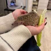 ヒメ日記 2026/02/14 19:07 投稿 れんげ ビギナーズ神戸